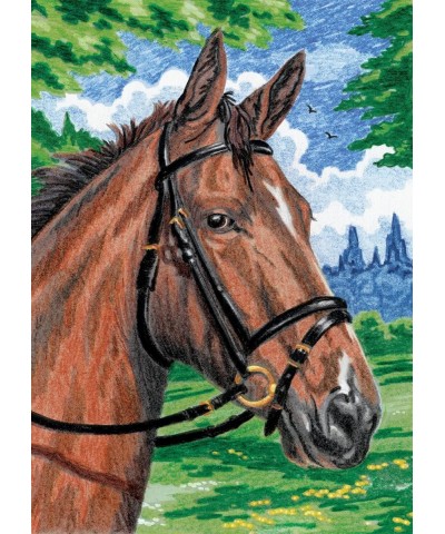 Mini Color Pencil By Number Kits Horse $13.67 Craft Kits