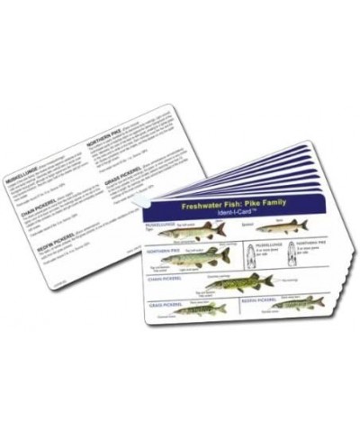 Fish Set of 9 Freshwater Fish Identification Cards $27.77 Trading Cards & Accessories