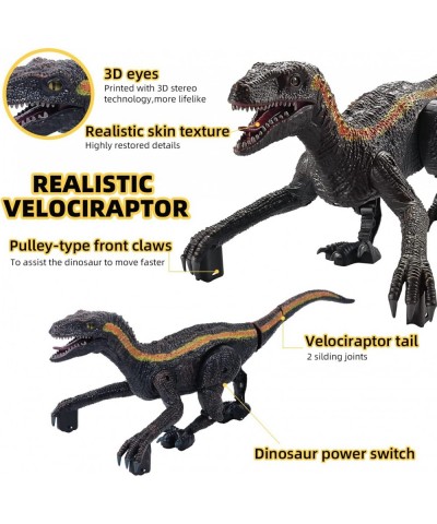 RC Raptor Dinosaur Toys Remote Control Velociraptor Simulation Walking Dinosaur with Lights & Roaring Sounds Robot Dinosaur f...