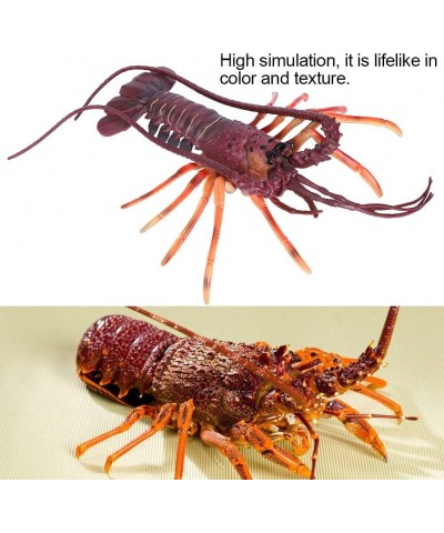 Simulation Lobster Model Artificial Lobster Seafood Model Plastic Lobster Decorations for Home Party Decoration Display Kids ...