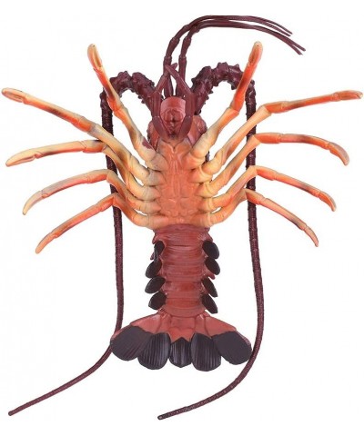 Simulation Lobster Model Artificial Lobster Seafood Model Plastic Lobster Decorations for Home Party Decoration Display Kids ...