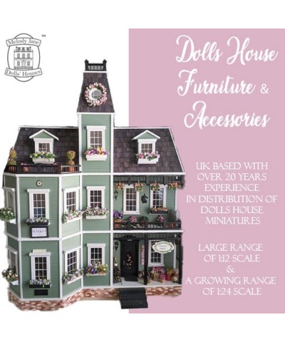 Melody Dollhouse 6 Plates of Food Beef Fish Pork etc Miniature Dining Room Accessory $79.86 Dollhouse Accessories