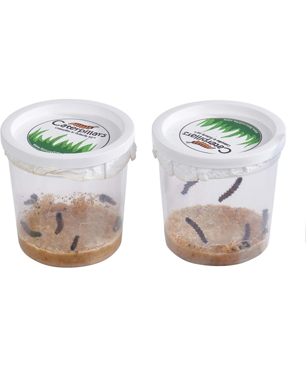 Store 10 Live Caterpillars Shipped Now- Butterfly Kit Refill ONLY $43.11 Educational Science Kits