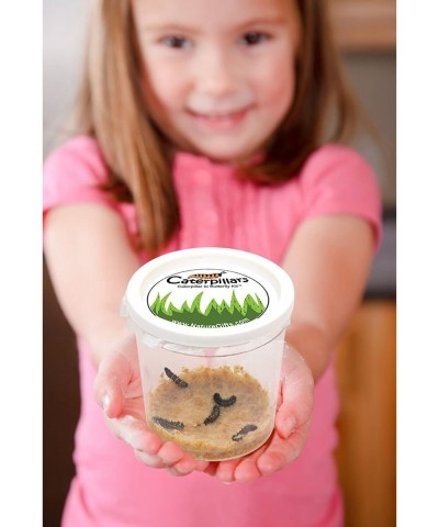 Store 10 Live Caterpillars Shipped Now- Butterfly Kit Refill ONLY $43.11 Educational Science Kits