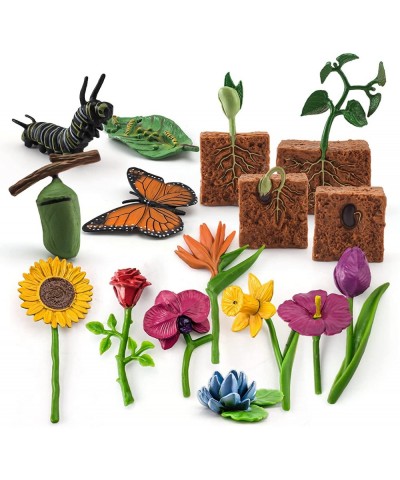 16PCS Life Cycle of Plants Figure Butterfly Figurines Realistic Flower Toys Set for Toddlers Age 3+ Educational Project Diora...