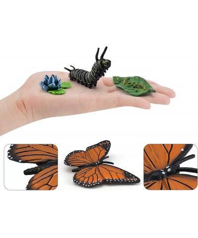 16PCS Life Cycle of Plants Figure Butterfly Figurines Realistic Flower Toys Set for Toddlers Age 3+ Educational Project Diora...