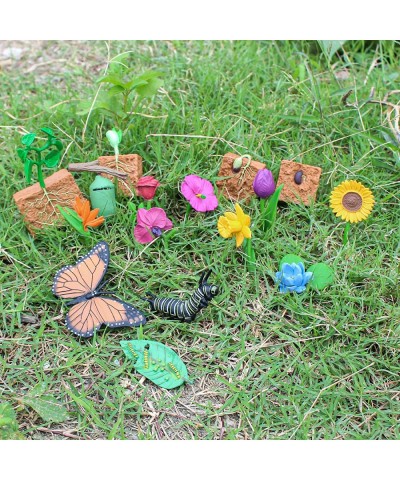 16PCS Life Cycle of Plants Figure Butterfly Figurines Realistic Flower Toys Set for Toddlers Age 3+ Educational Project Diora...