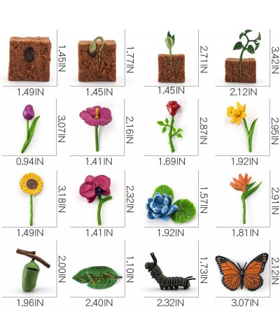 16PCS Life Cycle of Plants Figure Butterfly Figurines Realistic Flower Toys Set for Toddlers Age 3+ Educational Project Diora...