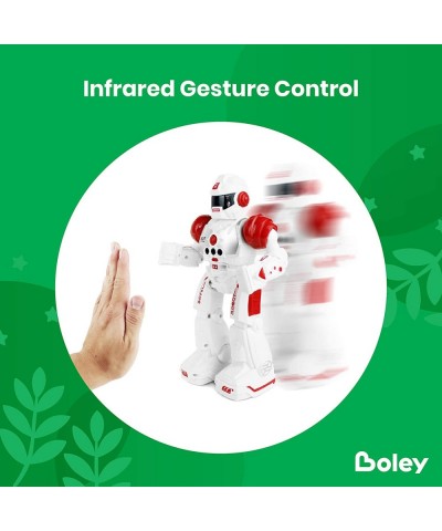 2099 RC Remote Controlled Robot for Kids - Intelligent Programmable with Infrared Controller Toys Dancing Singing Talking Rob...