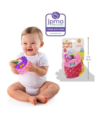 Carry & Teethe Purse Chillable Teether Toy Ages 3 months + Pretty in Pink $12.05 Baby Teether Toys