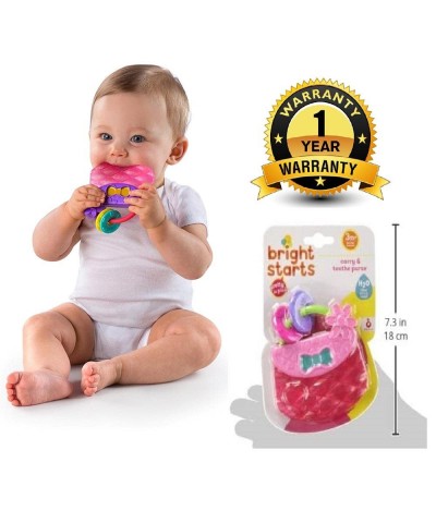 Carry & Teethe Purse Chillable Teether Toy Ages 3 months + Pretty in Pink $12.05 Baby Teether Toys