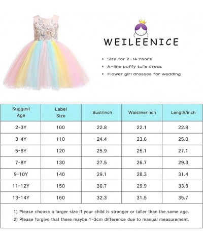 Christmas Girls Flower Dress Lace Rainbow Tulle 3D Embroidery Beading Princess Pageant Wedding Party Dresses $61.54 Kids' Cos...