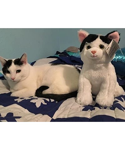 Series One: Nibbles The Cat - 10" White and Black Kitten Plush Toy Stuffed Animal - Based on Real-Life Adopted Pets - Benefit...