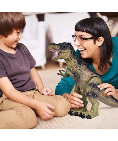 Remote Control Dinosaur Toy for Boys Realistic 18.5" Large RC Tyrannosaurus Rex Walking & Spray Mist with Glowing Eyes Dino F...