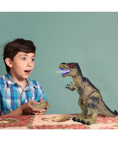 Remote Control Dinosaur Toy for Boys Realistic 18.5" Large RC Tyrannosaurus Rex Walking & Spray Mist with Glowing Eyes Dino F...