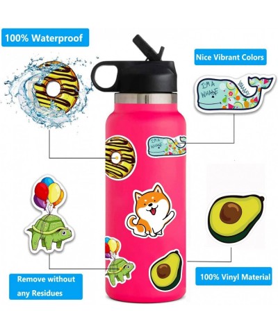 Stickers for Water Bottles 100 Pack/PCS Cute Vinyl Waterproof Vsco Stickers Laptop Skateboard Stickers Computer Phone Hydrofl...