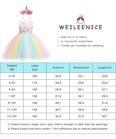 Christmas Girls Flower Dress Lace Rainbow Tulle 3D Embroidery Beading Princess Pageant Wedding Party Dresses $65.25 Kids' Cos...