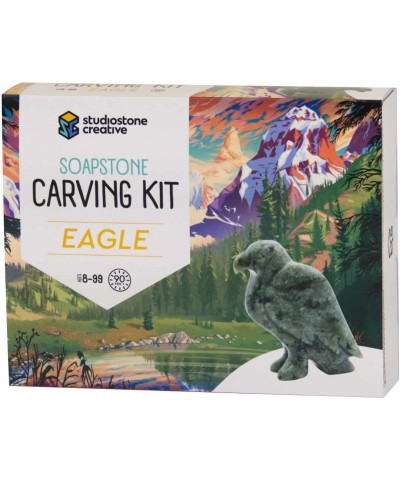 Eagle Soapstone Sculpture Carving DIY Arts and Crafts Kit for Kids Adults $55.09 Kids' Drawing & Writing Boards