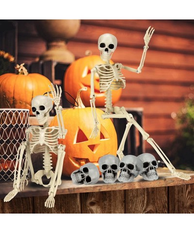 Halloween Skull 4 pcs Halloween Head Skull and 2pcs Full Body Skeleton Realistic Plastic Mini Skulls with Movable Joints for ...