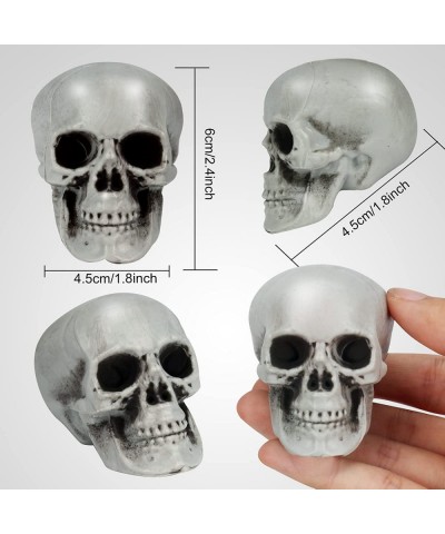 Halloween Skull 4 pcs Halloween Head Skull and 2pcs Full Body Skeleton Realistic Plastic Mini Skulls with Movable Joints for ...