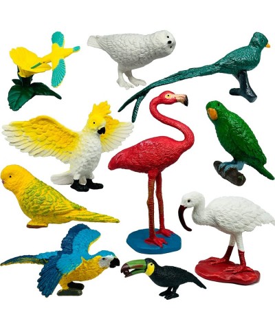 Birds Figure Animal Toys Set Birthday Cake Topper Garden Decoration for Kids 10 Pcs Wildlife Figurines Animal Figures for Chi...