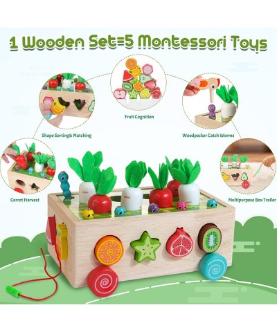 Toddlers Montessori Educational Toys for Kids Age 2 3 4 Years Old Shape Sorting Toys for Boys Girls 2-4 Wood Preschool Learni...