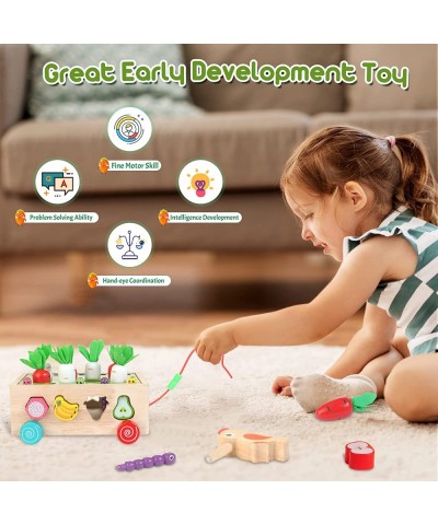 Toddlers Montessori Educational Toys for Kids Age 2 3 4 Years Old Shape Sorting Toys for Boys Girls 2-4 Wood Preschool Learni...