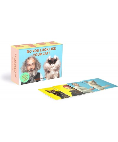 Laurence King Do You Look Like Your Cat? A Matching Memory Game $23.71 Board Games