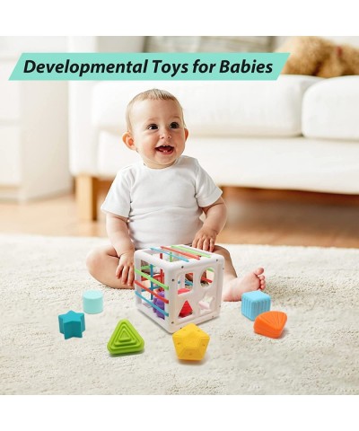 Shape Sorter Baby Toys Montessori Toys for 1-3 Year Old Toy Colorful Cube and Multi Sensory Shape Fine Motor Skills Developme...