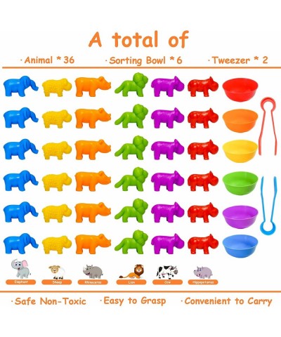 Counting Animal Color Sorting Toys with Rainbow Cups for Toddlers 3-5 Preschool Learning Activities Classification Matching G...